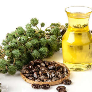 castor oil for soap making