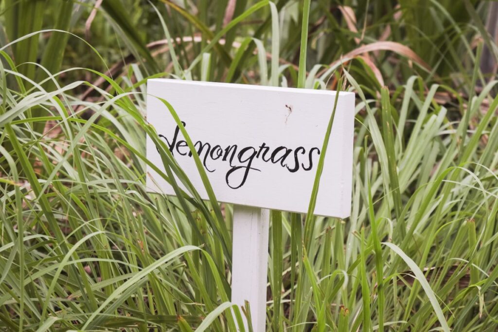 lemongrass soap