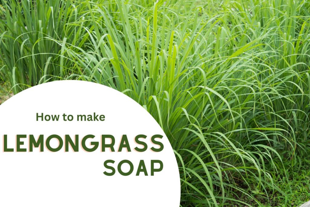 How to make Lemongrass cold process soap