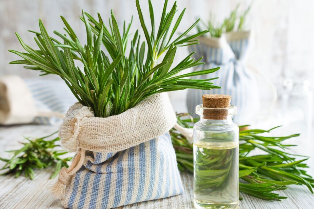 rosemary cold process soap