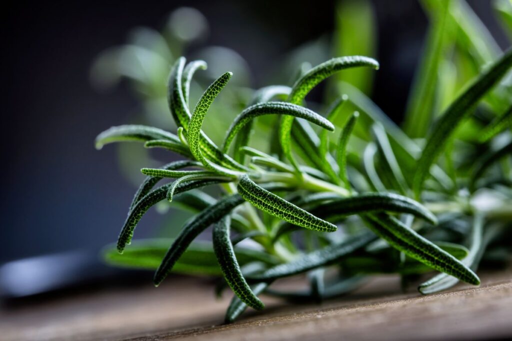 rosemary soap